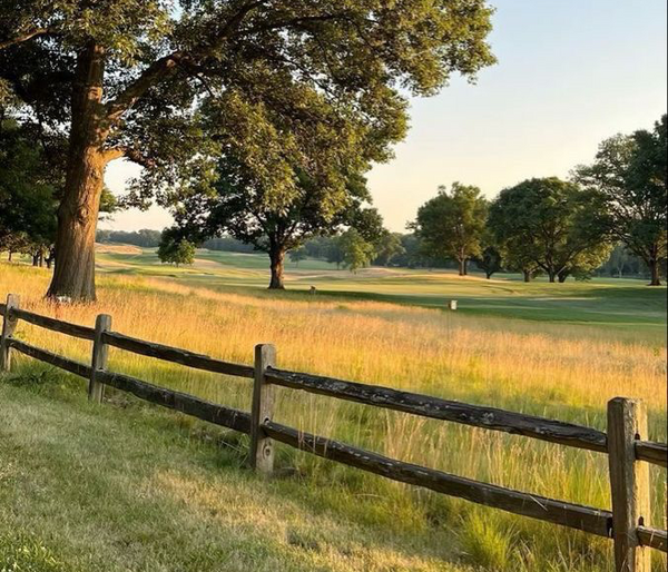 Tree Planting Initiative